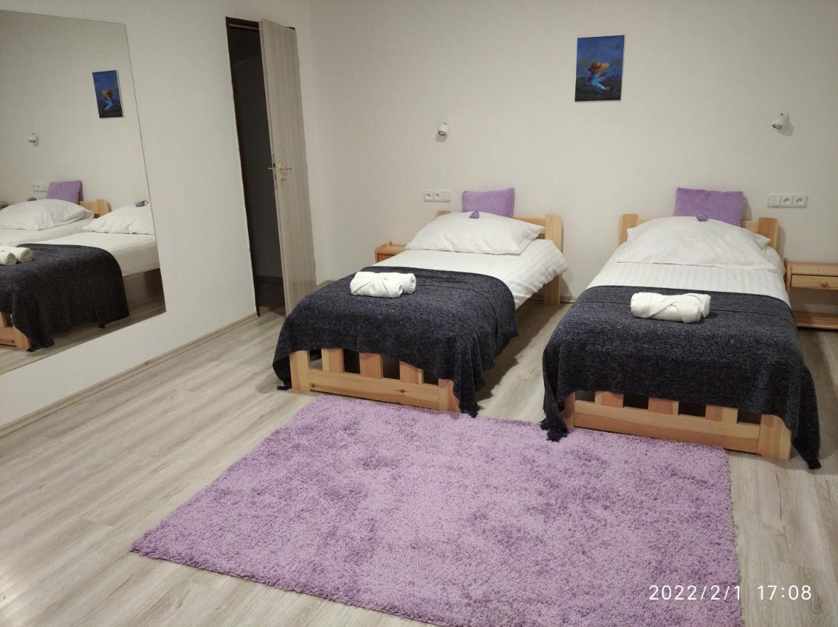 Penzion Tvrz Dub U Tabora Ratiborske Hory المظهر الخارجي الصورة